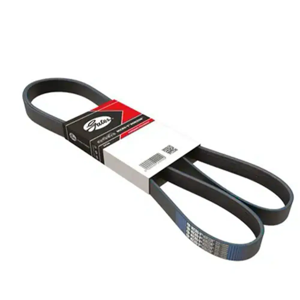 Banda Micro-V Beetle 2L L4 00/Cabrio 2L L4 95-02/Derby 1.8L L4 00-04/Golf A3 1.8L L4 94-98/Golf A4 0 99-01/Jetta A4 2L L4 99-01/Jetta A3 2L L4 94-98/Passat 2L L4 94-95/V K060385 6Pk980 1 Banda Micro-V Beetle 2L L4 00/Cabrio 2L L4 95-02/Derby 1.8L L4 00-04/Golf A3 1.8L L4 94-98/Golf A4 0 99-01/Jetta A4 2L L4 99-01/Jetta A3 2L L4 94-98/Passat 2L L4 94-95/V K060385 6Pk980
