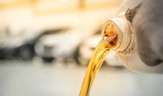 Inicio 2 slider image