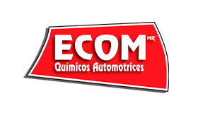 Acerca de Nosotros 3 Acerca de Nosotros